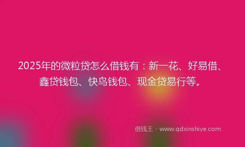 2025年的微粒贷怎么借钱有：新一花、好易借、鑫贷钱包、快鸟钱包、现金贷易行等。