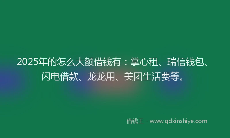 2025年的怎么大额借钱有：掌心租、瑞信钱包、闪电借款、龙龙用、美团生活费等。