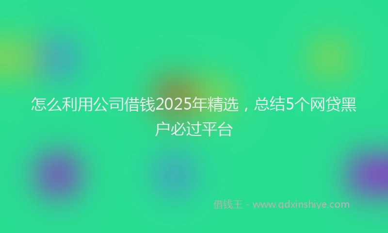 怎么利用公司借钱2025年精选，总结5个网贷黑户必过平台