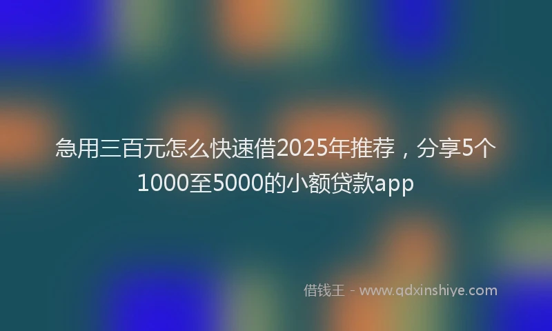 急用三百元怎么快速借2025年推荐，分享5个1000至5000的小额贷款app