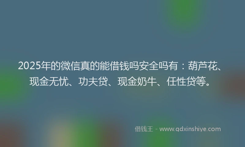 2025年的微信真的能借钱吗安全吗有：葫芦花、现金无忧、功夫贷、现金奶牛、任性贷等。