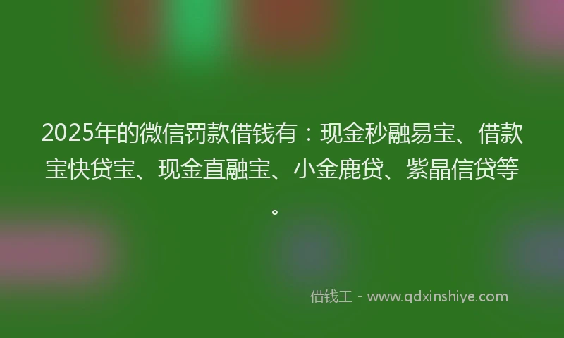 2025年的微信罚款借钱有：现金秒融易宝、借款宝快贷宝、现金直融宝、小金鹿贷、紫晶信贷等。