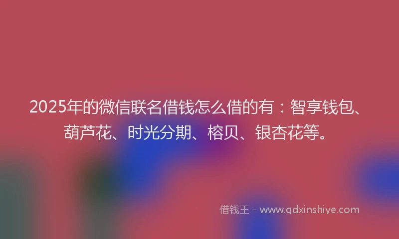 2025年的微信联名借钱怎么借的有：智享钱包、葫芦花、时光分期、榕贝、银杏花等。