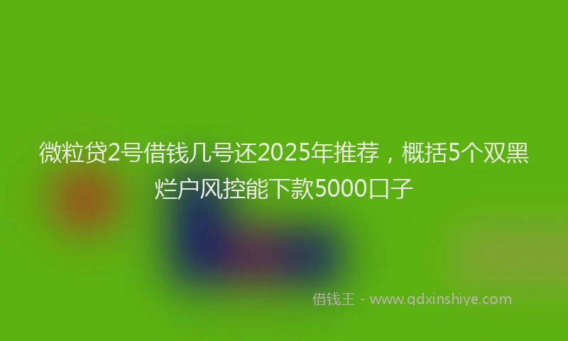微粒贷2号借钱几号还2025年推荐，概括5个双黑烂户风控能下款5000口子