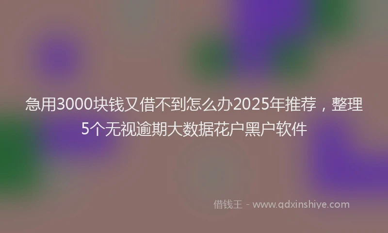 急用3000块钱又借不到怎么办2025年推荐，整理5个无视逾期大数据花户黑户软件