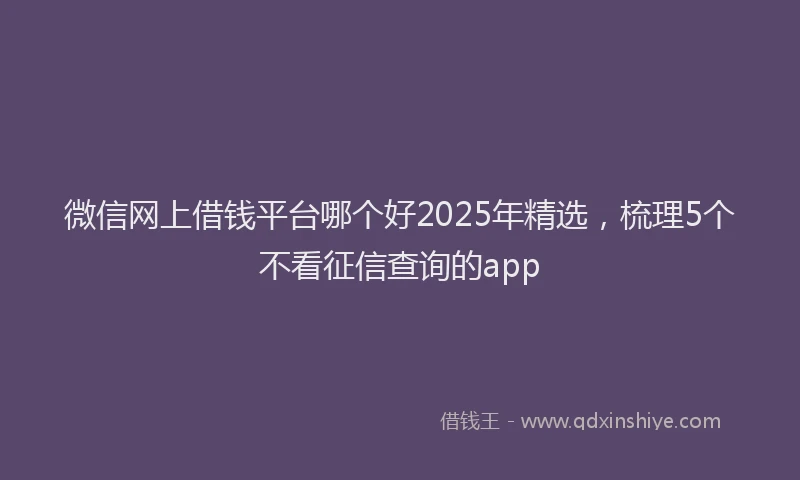 微信网上借钱平台哪个好2025年精选，梳理5个不看征信查询的app