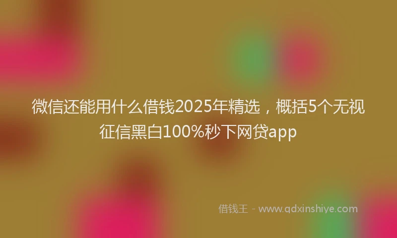 微信还能用什么借钱2025年精选，概括5个无视征信黑白100%秒下网贷app