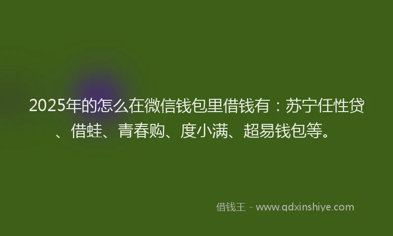 2025年的怎么在微信钱包里借钱有：苏宁任性贷、借蛙、青春购、度小满、超易钱包等。