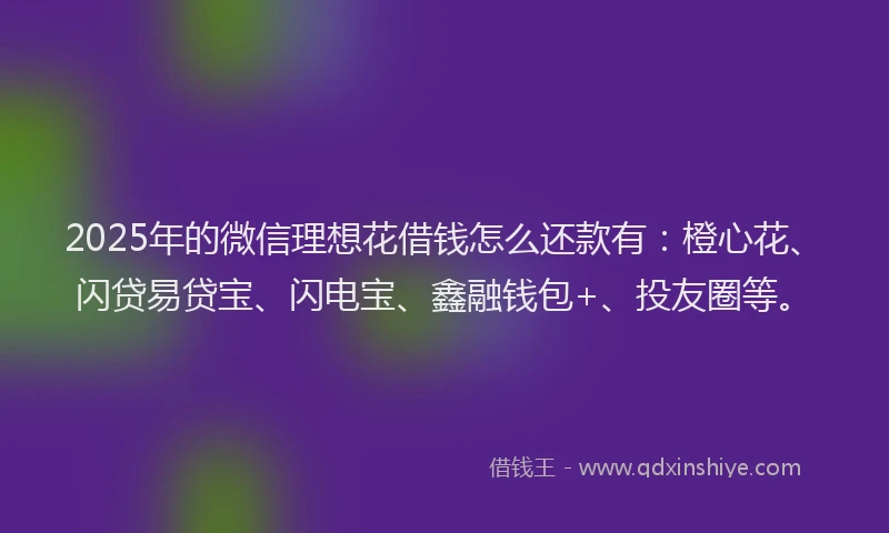 2025年的微信理想花借钱怎么还款有：橙心花、闪贷易贷宝、闪电宝、鑫融钱包+、投友圈等。