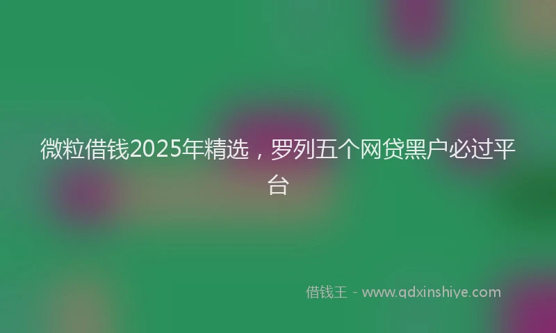 微粒借钱2025年精选，罗列五个网贷黑户必过平台