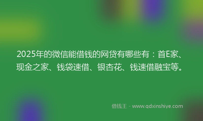 2025年的微信能借钱的网贷有哪些有：首E家、现金之家、钱袋速借、银杏花、钱速借融宝等。