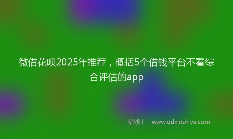 微借花呗2025年推荐，概括5个借钱平台不看综合评估的app