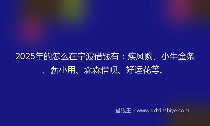 2025年的怎么在宁波借钱有：疾风购、小牛金条、薪小用、森森借呗、好运花等。