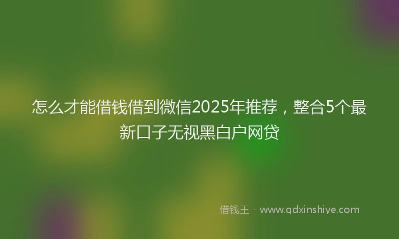 怎么才能借钱借到微信2025年推荐，整合5个最新口子无视黑白户网贷