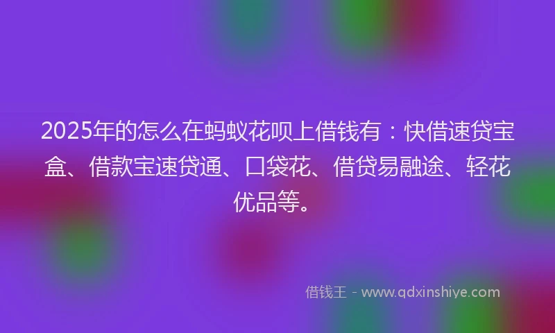 2025年的怎么在蚂蚁花呗上借钱有：快借速贷宝盒、借款宝速贷通、口袋花、借贷易融途、轻花优品等。