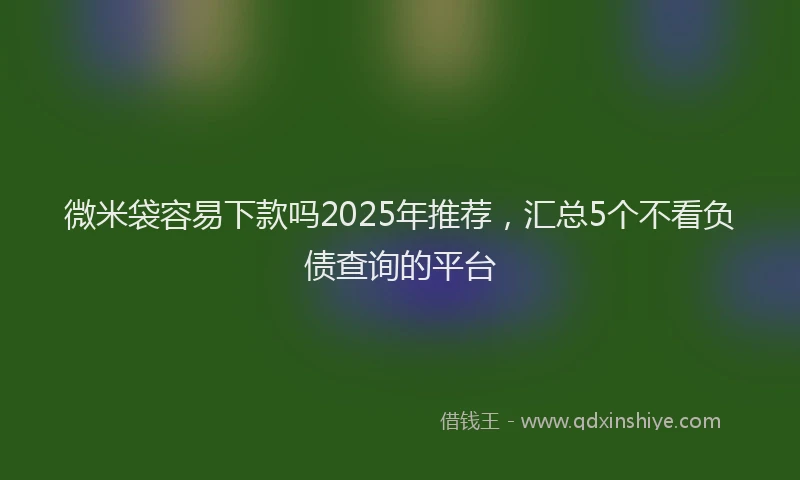 微米袋容易下款吗2025年推荐，汇总5个不看负债查询的平台