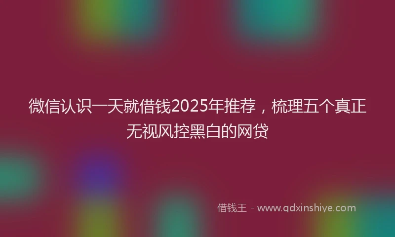 微信认识一天就借钱2025年推荐，梳理五个真正无视风控黑白的网贷