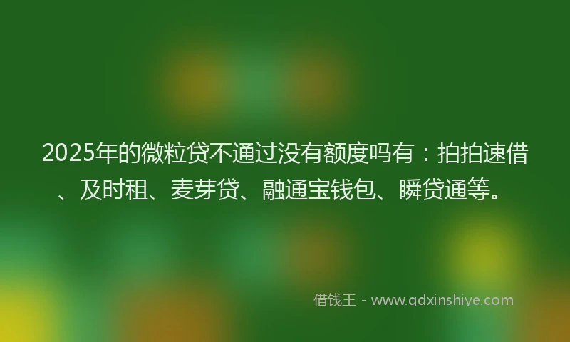 2025年的微粒贷不通过没有额度吗有：拍拍速借、及时租、麦芽贷、融通宝钱包、瞬贷通等。