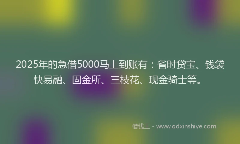 2025年的急借5000马上到账有：省时贷宝、钱袋快易融、固金所、三枝花、现金骑士等。