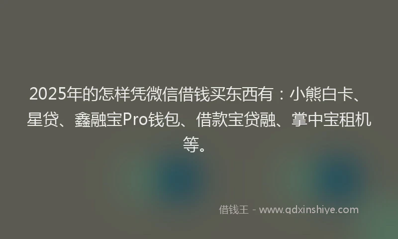 2025年的怎样凭微信借钱买东西有：小熊白卡、星贷、鑫融宝Pro钱包、借款宝贷融、掌中宝租机等。