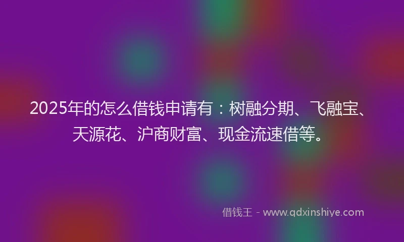 2025年的怎么借钱申请有：树融分期、飞融宝、天源花、沪商财富、现金流速借等。