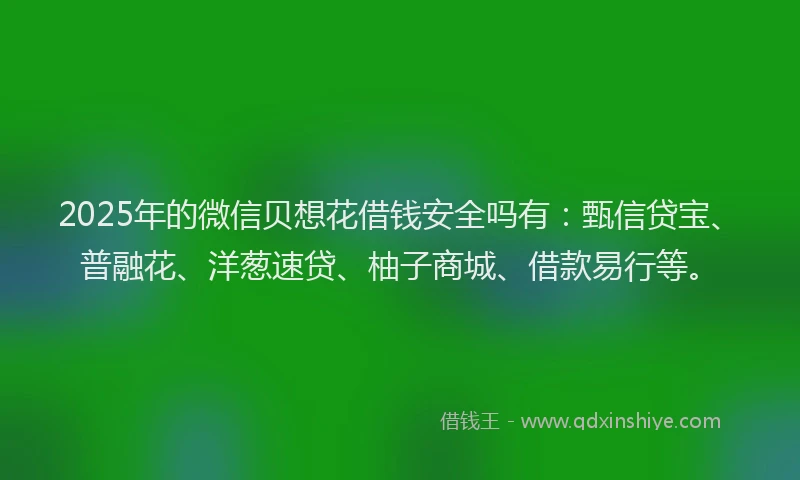 2025年的微信贝想花借钱安全吗有：甄信贷宝、普融花、洋葱速贷、柚子商城、借款易行等。