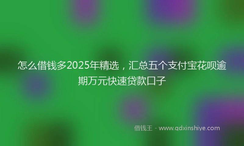 怎么借钱多2025年精选，汇总五个支付宝花呗逾期万元快速贷款口子