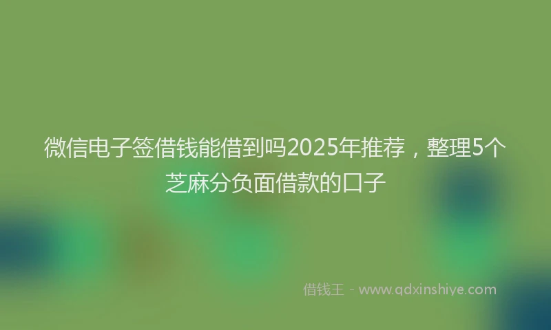 微信电子签借钱能借到吗2025年推荐，整理5个芝麻分负面借款的口子