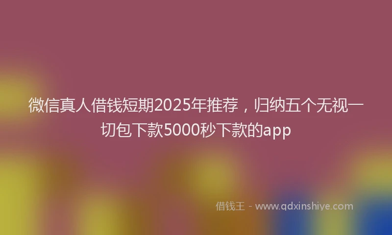 微信真人借钱短期2025年推荐，归纳五个无视一切包下款5000秒下款的app