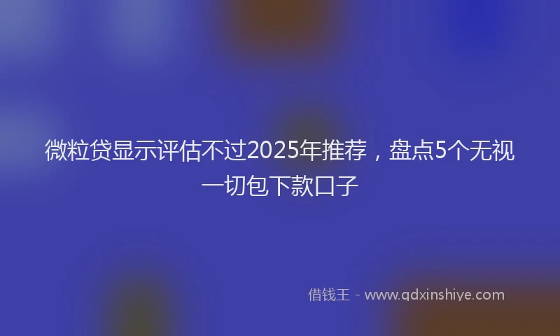 微粒贷显示评估不过2025年推荐，盘点5个无视一切包下款口子