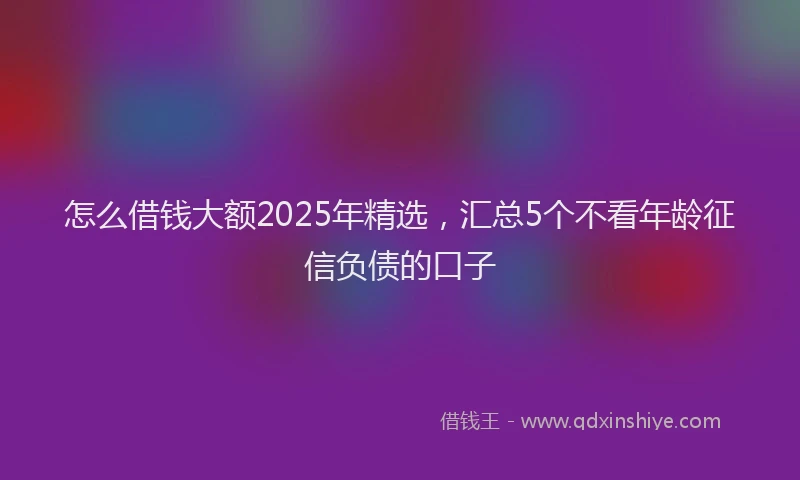 怎么借钱大额2025年精选，汇总5个不看年龄征信负债的口子