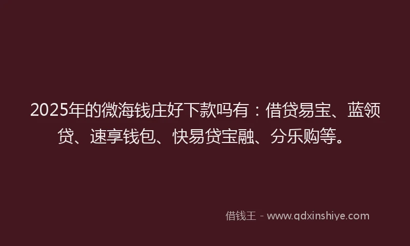 2025年的微海钱庄好下款吗有：借贷易宝、蓝领贷、速享钱包、快易贷宝融、分乐购等。
