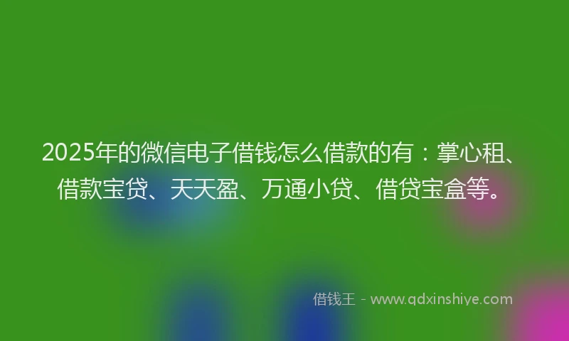 2025年的微信电子借钱怎么借款的有：掌心租、借款宝贷、天天盈、万通小贷、借贷宝盒等。