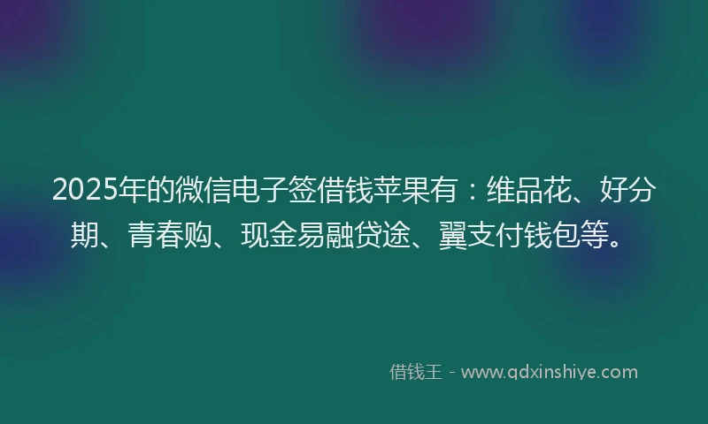 2025年的微信电子签借钱苹果有：维品花、好分期、青春购、现金易融贷途、翼支付钱包等。