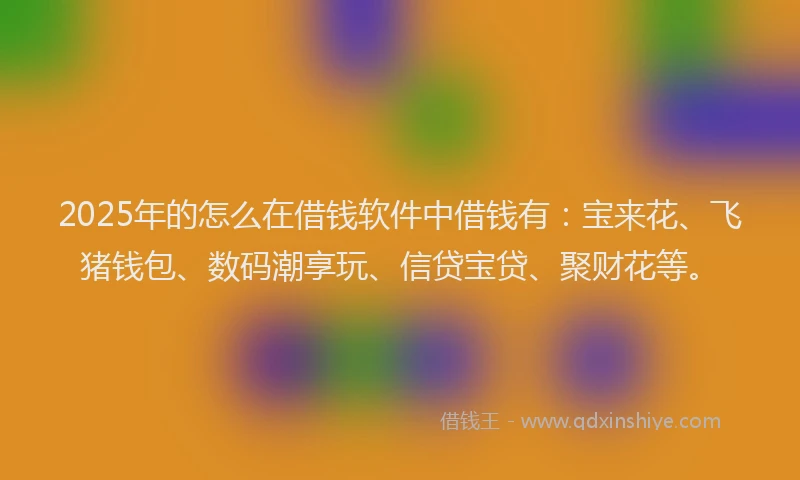 2025年的怎么在借钱软件中借钱有：宝来花、飞猪钱包、数码潮享玩、信贷宝贷、聚财花等。