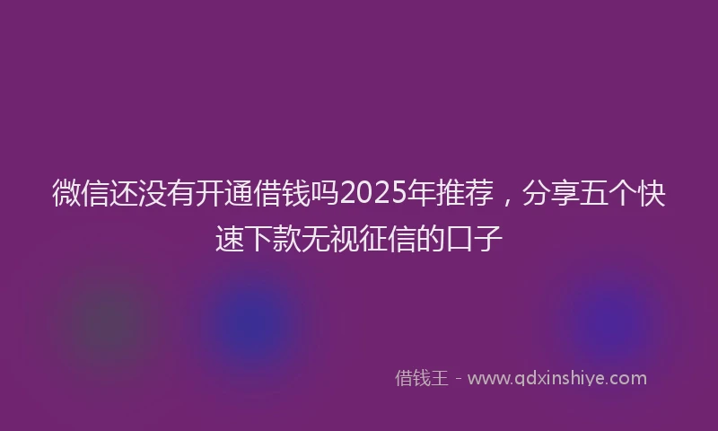 微信还没有开通借钱吗2025年推荐，分享五个快速下款无视征信的口子
