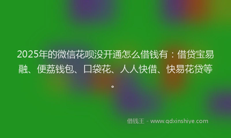 2025年的微信花呗没开通怎么借钱有：借贷宝易融、便荔钱包、口袋花、人人快借、快易花贷等。