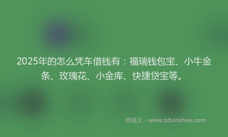 2025年的怎么凭车借钱有：福瑞钱包宝、小牛金条、玫瑰花、小金库、快捷贷宝等。