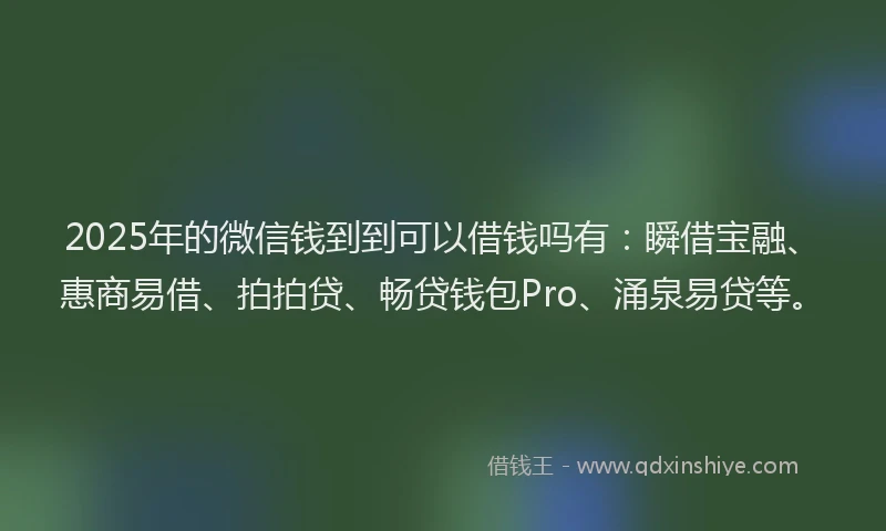 2025年的微信钱到到可以借钱吗有：瞬借宝融、惠商易借、拍拍贷、畅贷钱包Pro、涌泉易贷等。