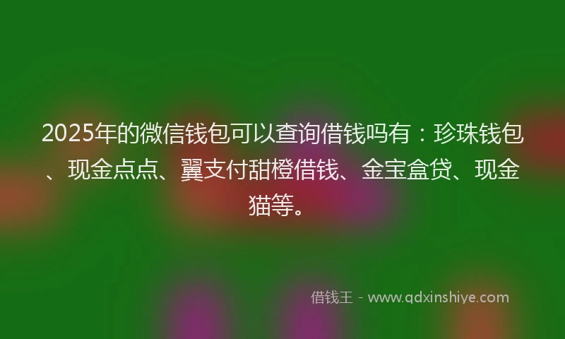 2025年的微信钱包可以查询借钱吗有：珍珠钱包、现金点点、翼支付甜橙借钱、金宝盒贷、现金猫等。