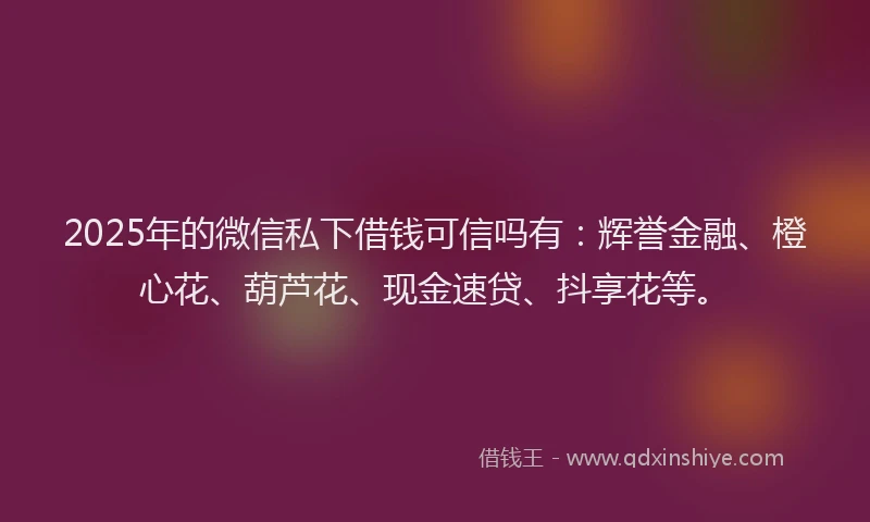 2025年的微信私下借钱可信吗有：辉誉金融、橙心花、葫芦花、现金速贷、抖享花等。