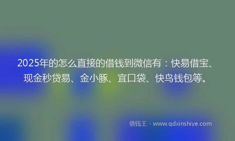2025年的怎么直接的借钱到微信有：快易借宝、现金秒贷易、金小豚、宜口袋、快鸟钱包等。