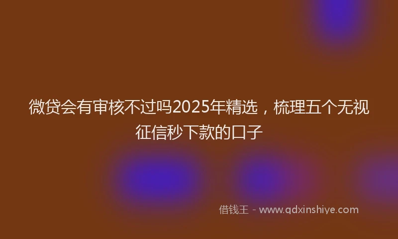 微贷会有审核不过吗2025年精选，梳理五个无视征信秒下款的口子
