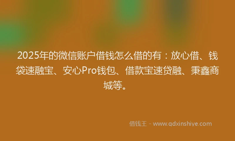 2025年的微信账户借钱怎么借的有：放心借、钱袋速融宝、安心Pro钱包、借款宝速贷融、秉鑫商城等。