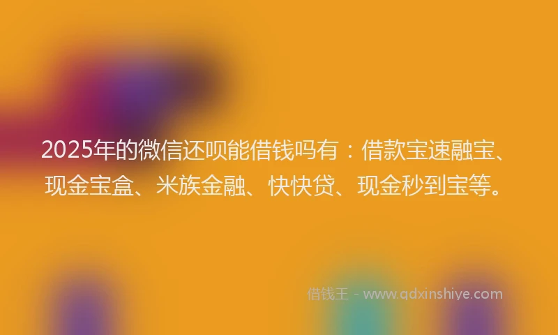 2025年的微信还呗能借钱吗有：借款宝速融宝、现金宝盒、米族金融、快快贷、现金秒到宝等。