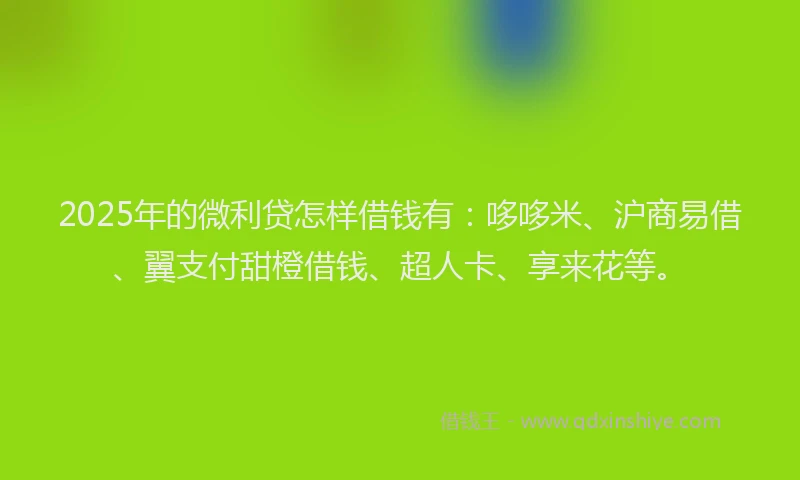 2025年的微利贷怎样借钱有：哆哆米、沪商易借、翼支付甜橙借钱、超人卡、享来花等。