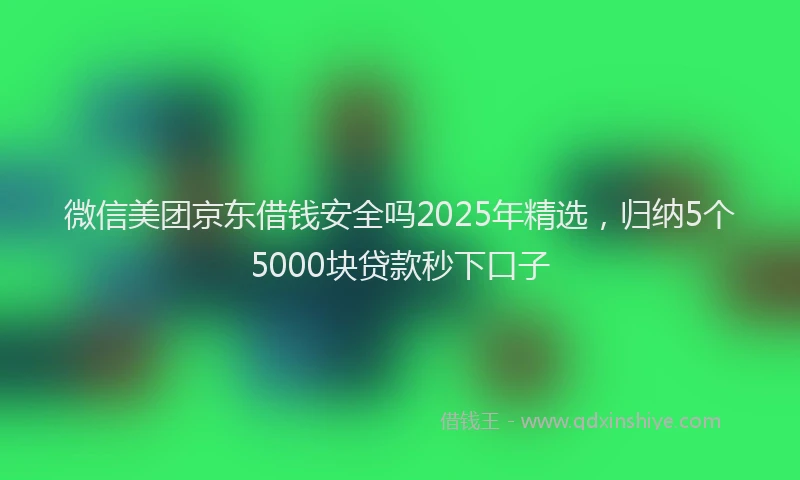 微信美团京东借钱安全吗2025年精选，归纳5个5000块贷款秒下口子