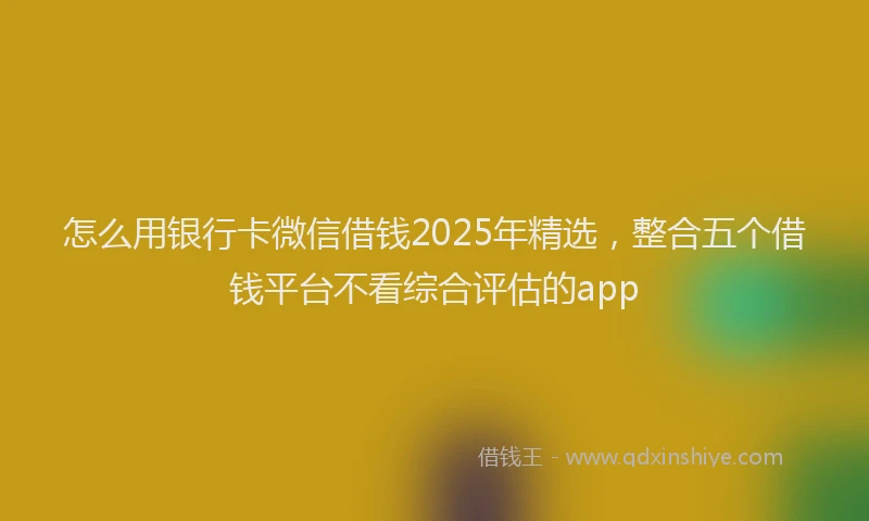 怎么用银行卡微信借钱2025年精选，整合五个借钱平台不看综合评估的app