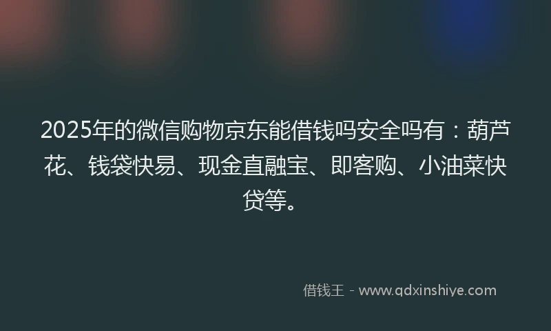 2025年的微信购物京东能借钱吗安全吗有：葫芦花、钱袋快易、现金直融宝、即客购、小油菜快贷等。