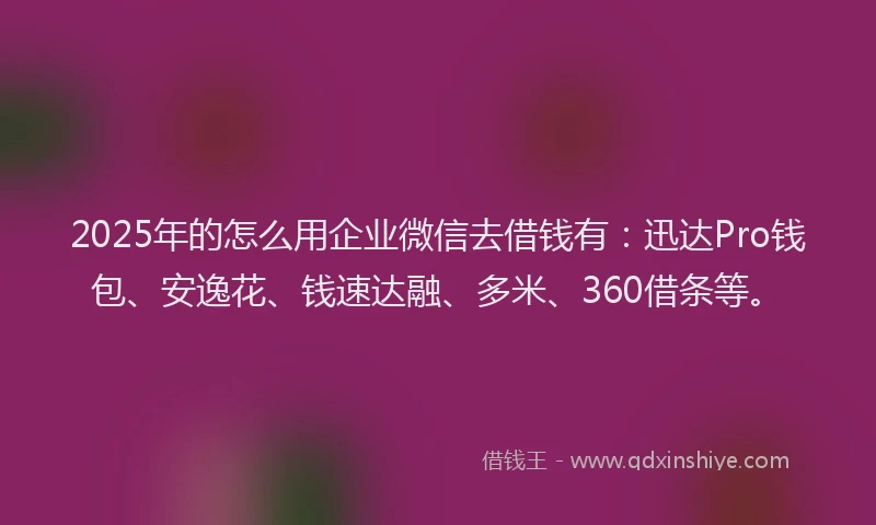 2025年的怎么用企业微信去借钱有：迅达Pro钱包、安逸花、钱速达融、多米、360借条等。